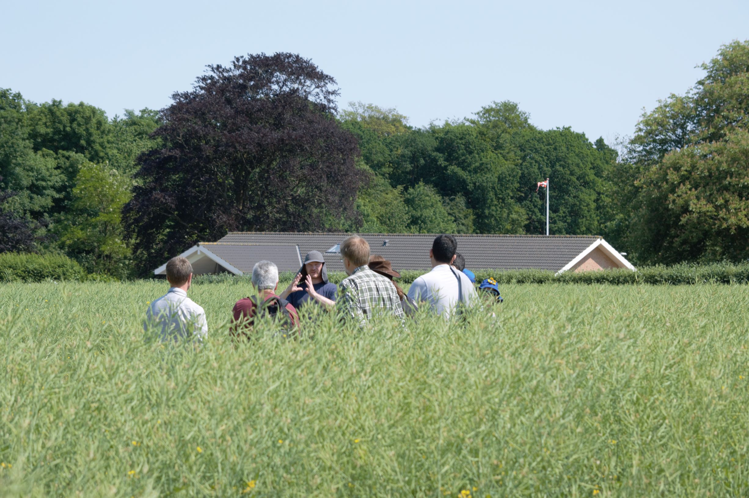 People in discussion in a field