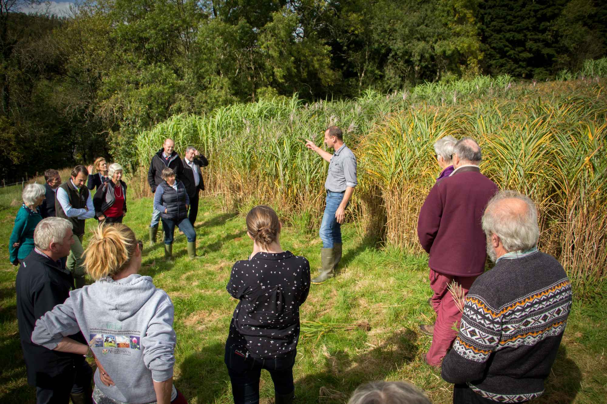 Visit to a Miscanthus field