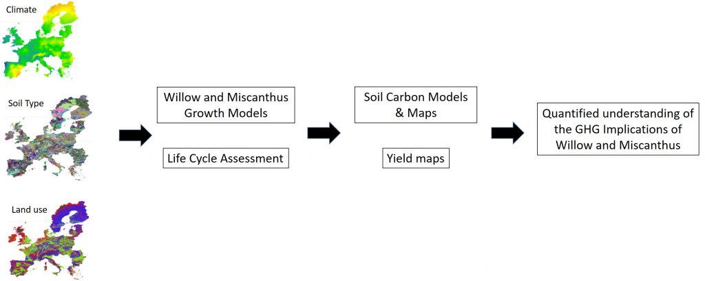 schematic of the carbon modelling undertaken in the project