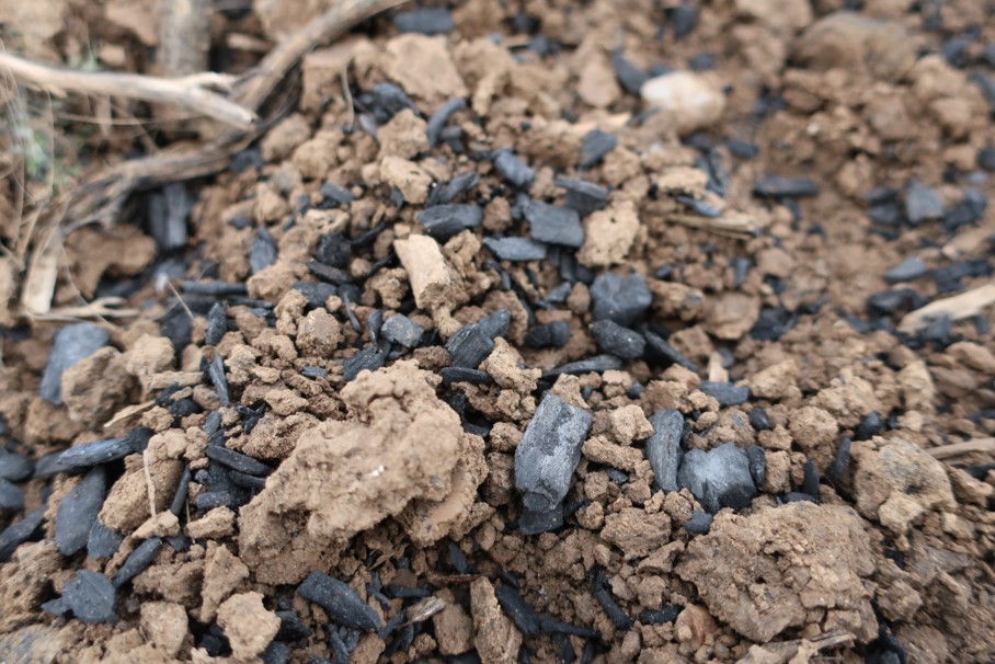 Fragments of biochar in the soil
